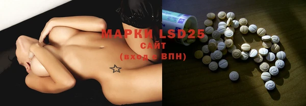 мдпв Верея