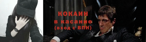 мдпв Верея