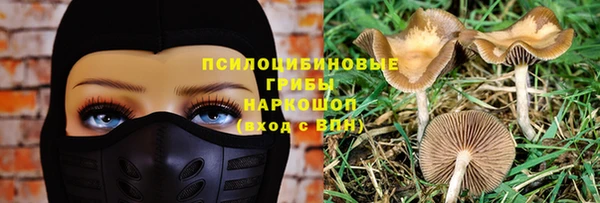 сатива Верхнеуральск