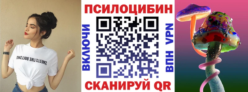 omg ссылка  цена   Томск  Псилоцибиновые грибы Psilocybe 