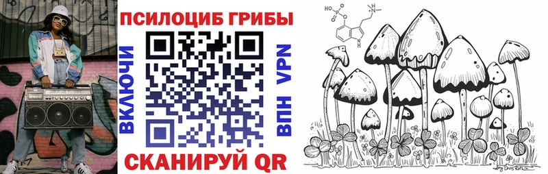 Галлюциногенные грибы прущие грибы Томск